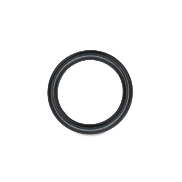 O-Ring für Sondenspitze (Typ MY2015) für R26m von MRS Resonance